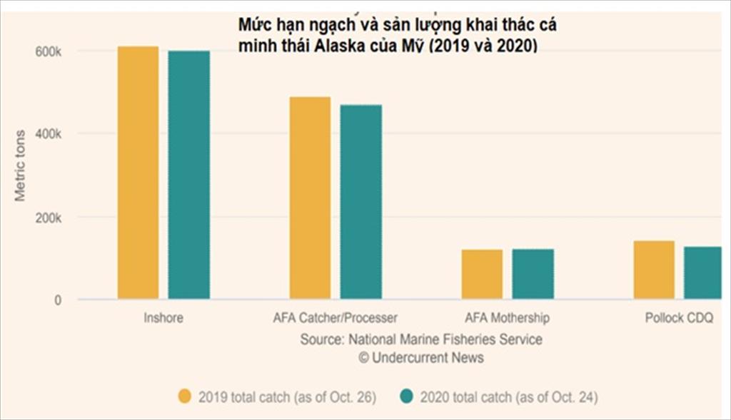 Mỹ Sản lượng khai thác cá minh thái Alaska vụ B giảm