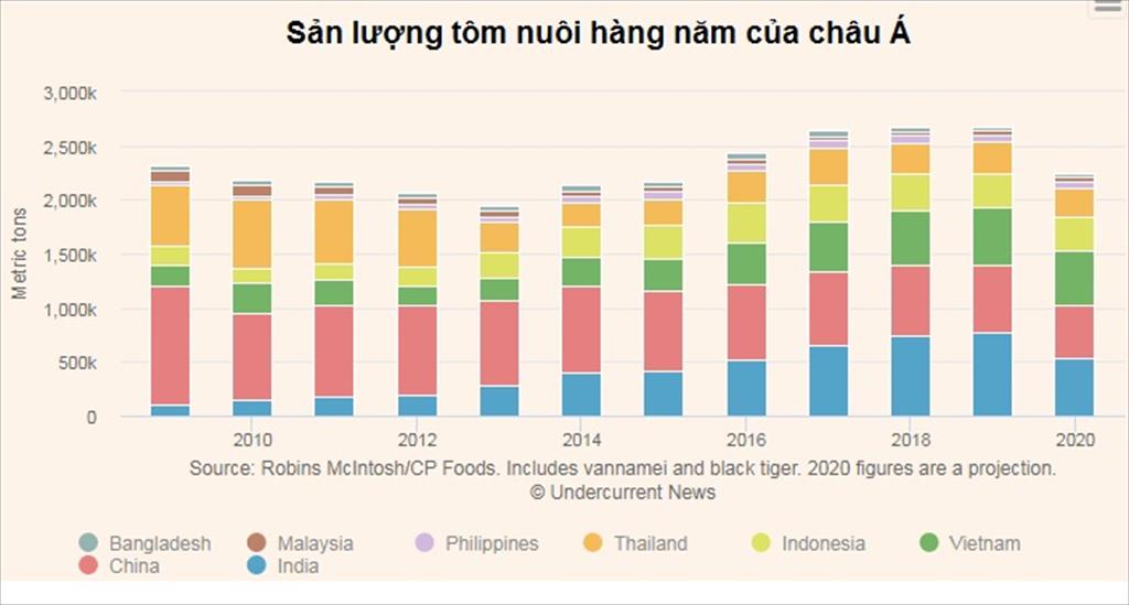 Thái Lan Sản lượng tôm của Thái Lan dự kiến phục hồi năm 2021