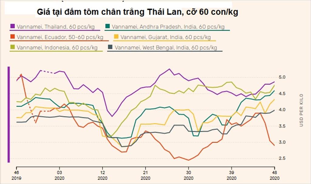 Thái Lan Sản lượng tôm của Thái Lan dự kiến phục hồi năm 2021