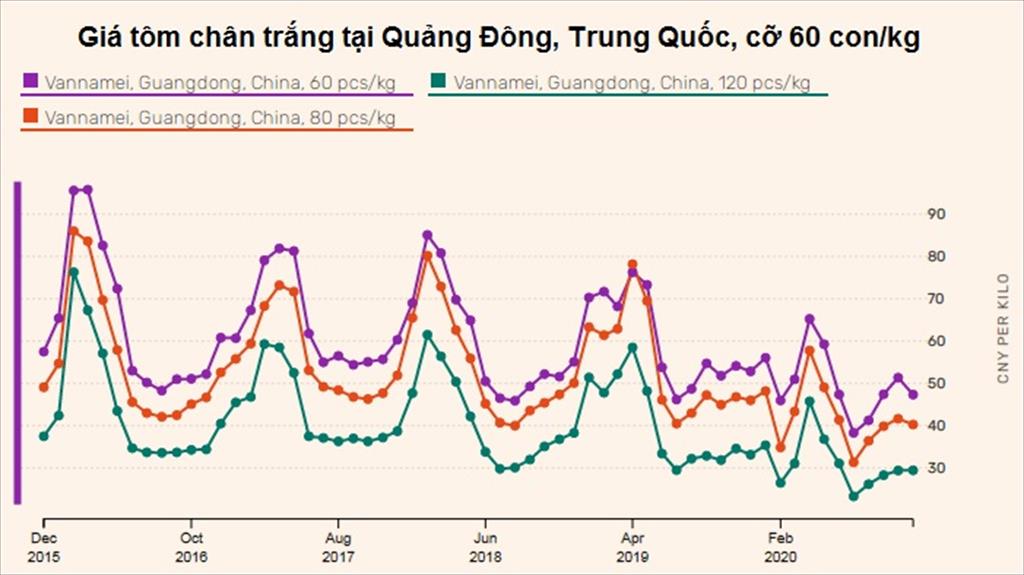 Giá tại đầm tôm Trung Quốc đạt thấp nhất trong 8 năm