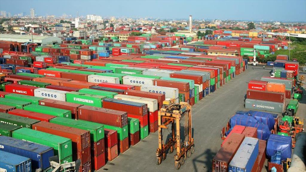 Doanh nghiệp thủy sản cần lên kịch bản ứng phó thiếu container rỗng thiếu tàu chở hàng