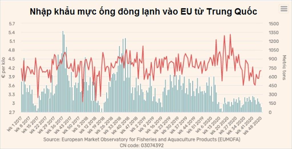 EU giảm mạnh nhập khẩu mực ống đông lạnh từ Trung Quốc