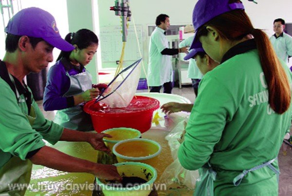 CP Foods đặt mục tiêu xuất khẩu 300000 tôm thẻ chân trắng bố mẹ sang Trung Quốc