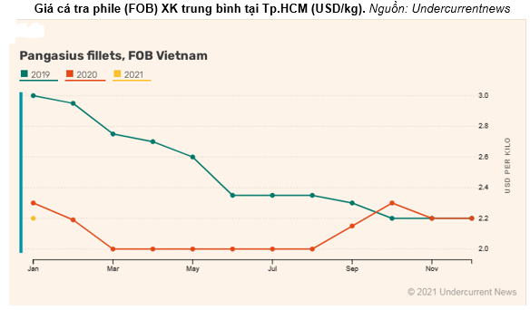 Đầu năm 2021 giá cá tra nguyên liệu tại ĐBSCL ổn định trở lại