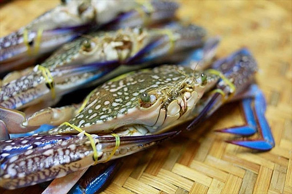 Dự báo giá nhập khẩu ghẹ vào Mỹ tăng