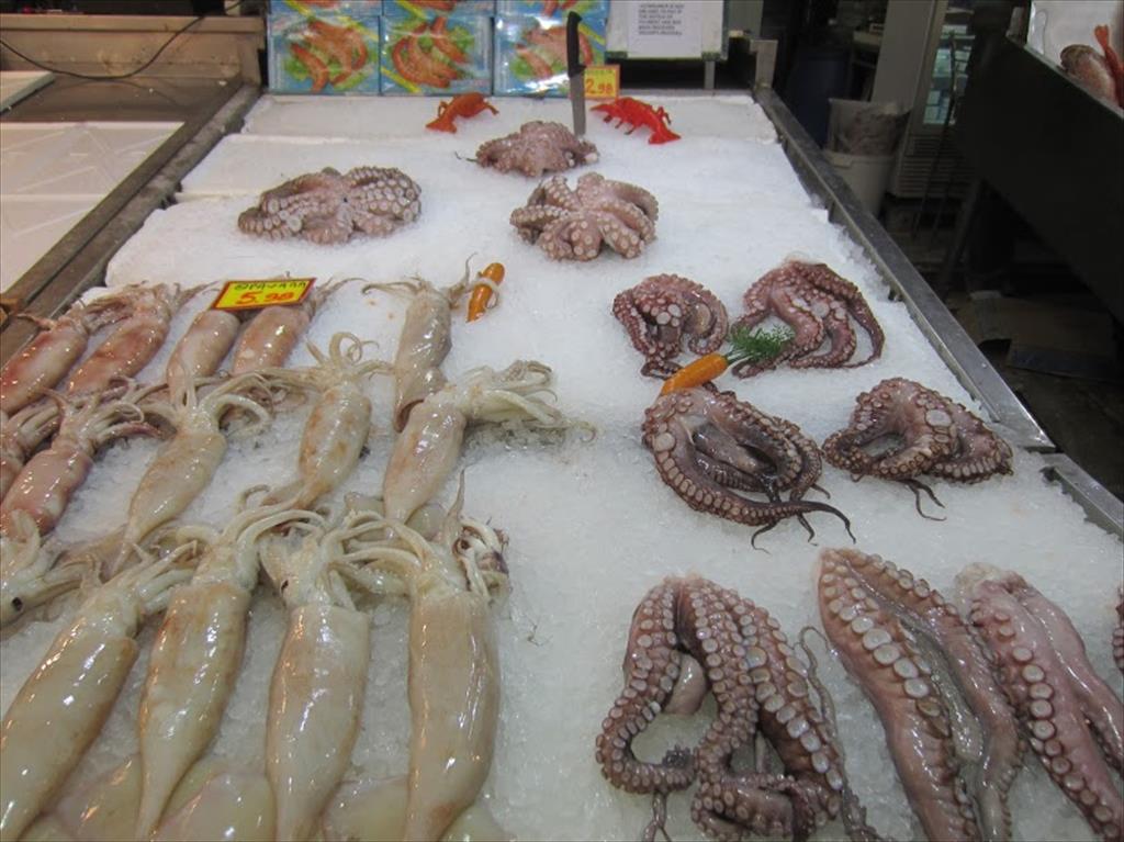 Giá bạch tuộc Morocco tăng bất ngờ