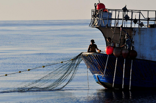 Oceana kêu gọi chấm dứt khai thác bất hợp pháp gia lận thuỷ sản