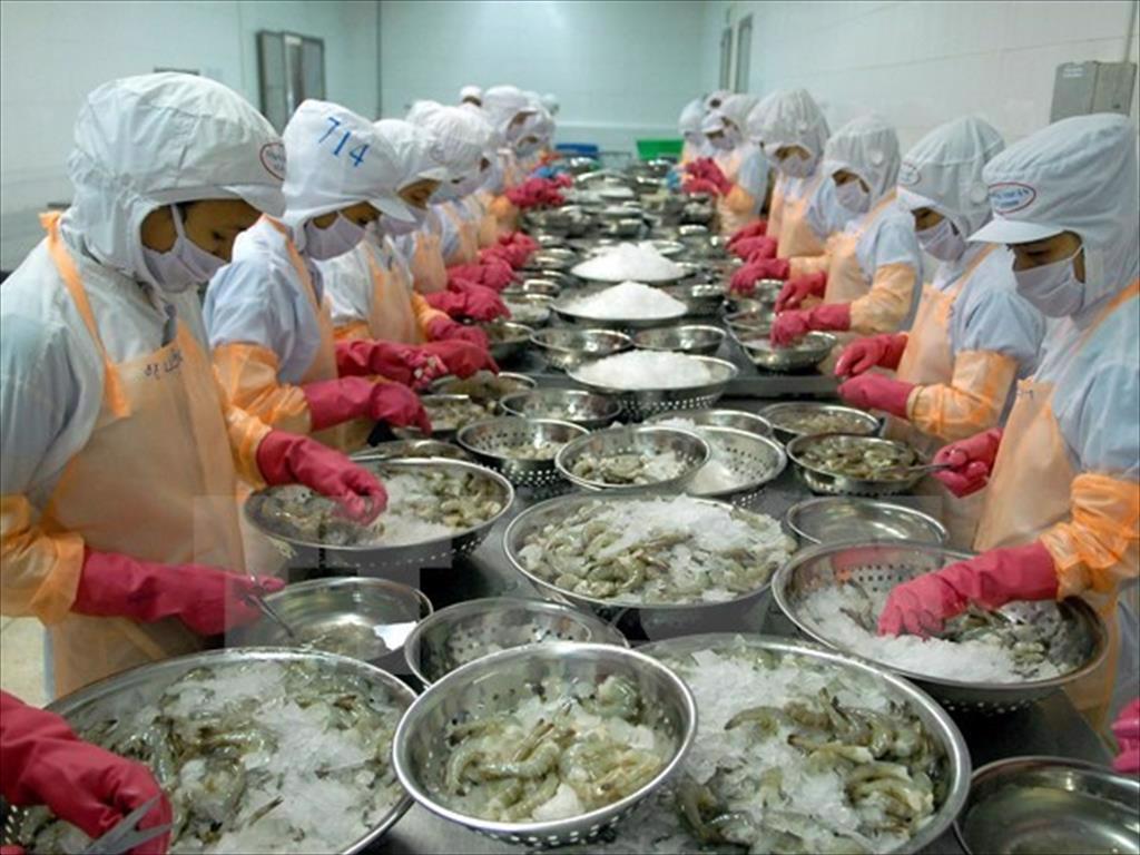 Xuất khẩu thủy sản sang Mỹ và các nước CPTPP tăng mạnh