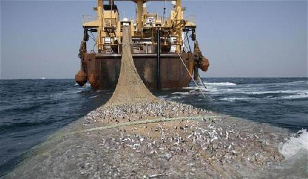 EU cảnh báo thẻ vàng IUU với Cameroon