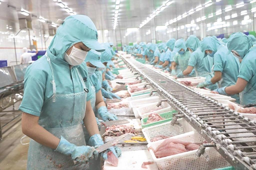 Trung Quốc tụt xuống vị trí số 4 trong top thị trường xuất khẩu cá tra lớn nhất