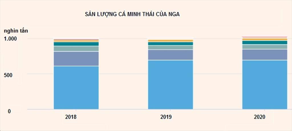 Sản lượng phi lê cá minh thái của Mỹ giảm xuống thấp hơn Nga
