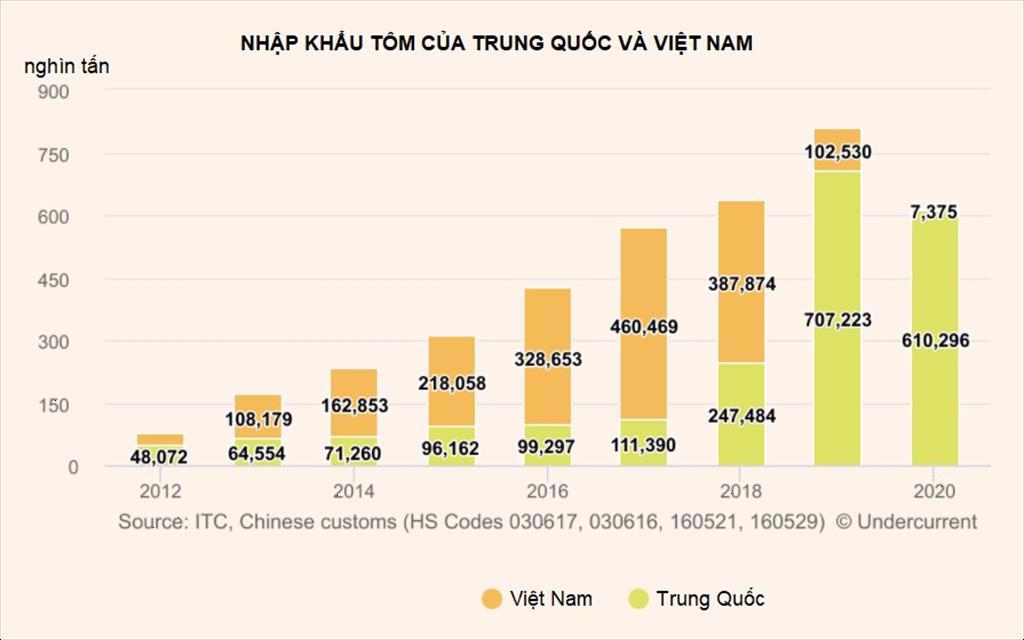 Trung Quốc và Mỹ trở thành cường quốc nhập khẩu tôm toàn cầu