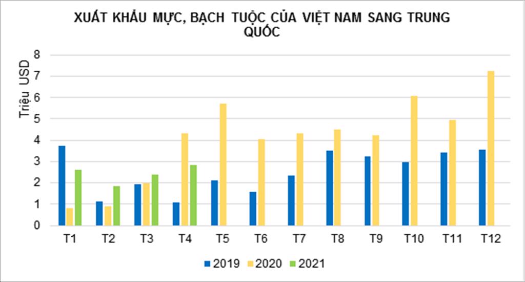 Xuất khẩu mực bạch tuộc sang Trung Quốc tăng 21