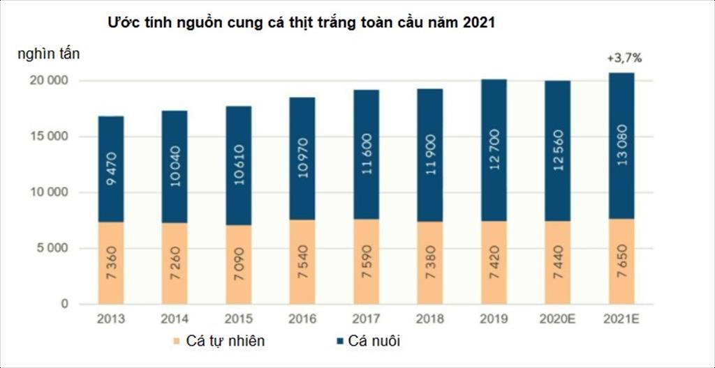 Nguồn cung cá thịt trắng toàn cầu năm 2021 sẽ tăng 4 chủ yếu là cá tra