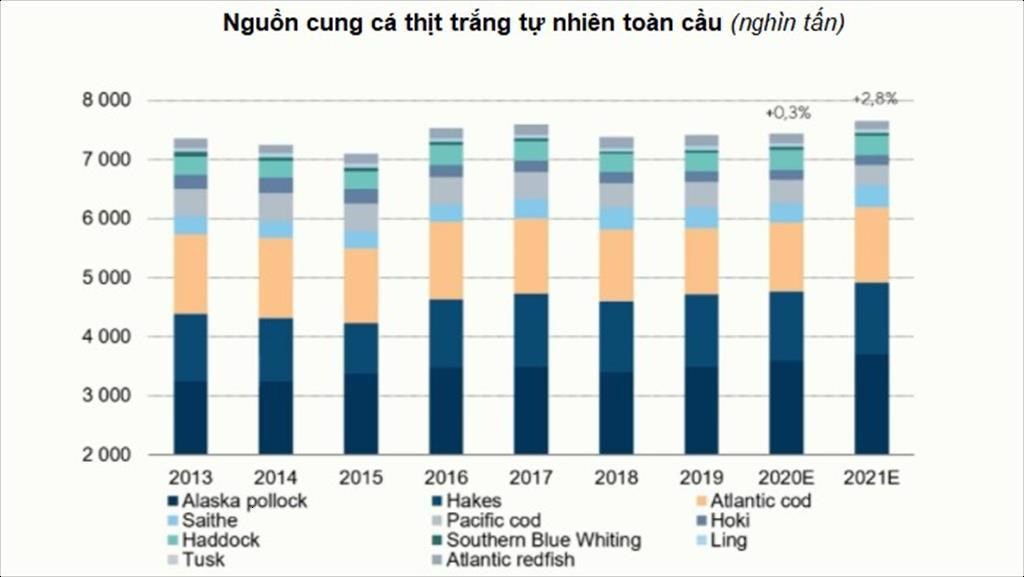 Nguồn cung cá thịt trắng toàn cầu năm 2021 sẽ tăng 4 chủ yếu là cá tra