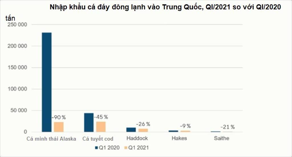 Các nhà chế biến cá thịt trắng đã sẵn sàng rời khỏi Trung Quốc