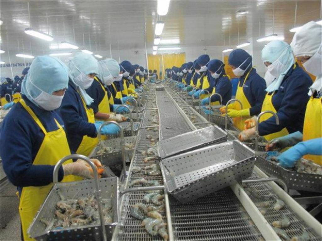 Kiến nghị cho hàng kiểm dịch hàng vừa kiểm tra ATTP vừa kiểm dịch được làm thủ tục trên hệ thống một cửa