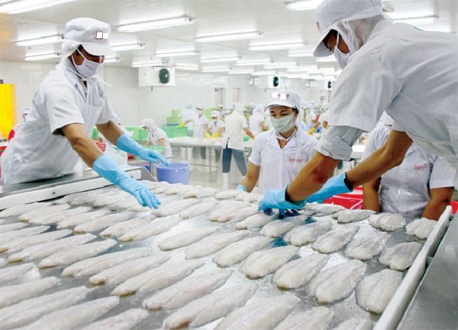 Xuất khẩu thuỷ sản sang Trung Quốc giảm liên tiếp do Covid