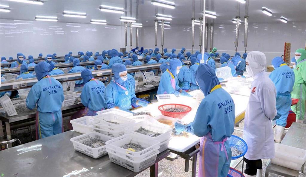 Cần “trả lại” đúng tên Kiểm tra nhà nước về an toàn thực phẩm nhập khẩu hay là kiểm dịch