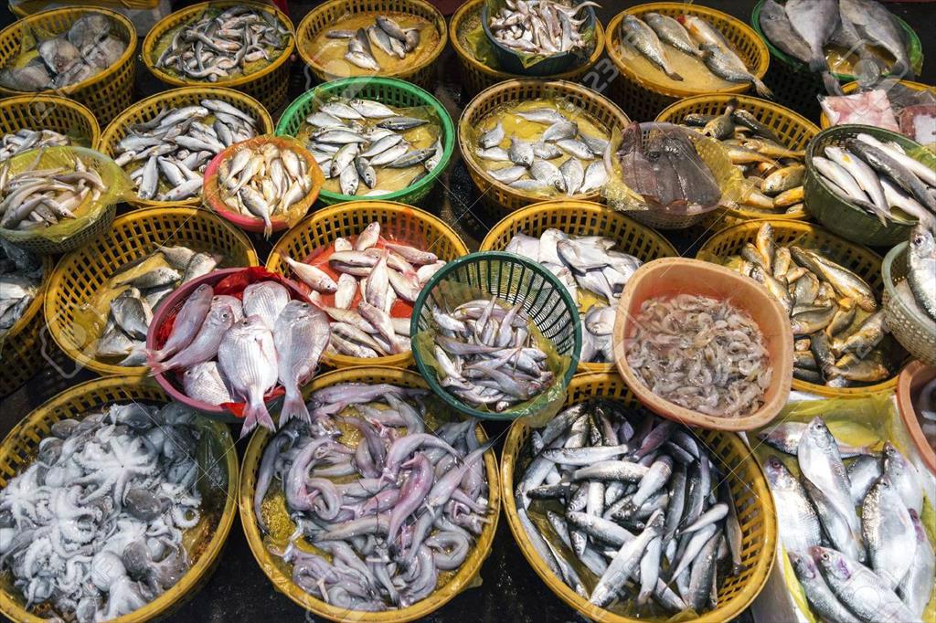 Triển vọng thị trường thủy sản Trung Quốc những tín hiệu trái chiều