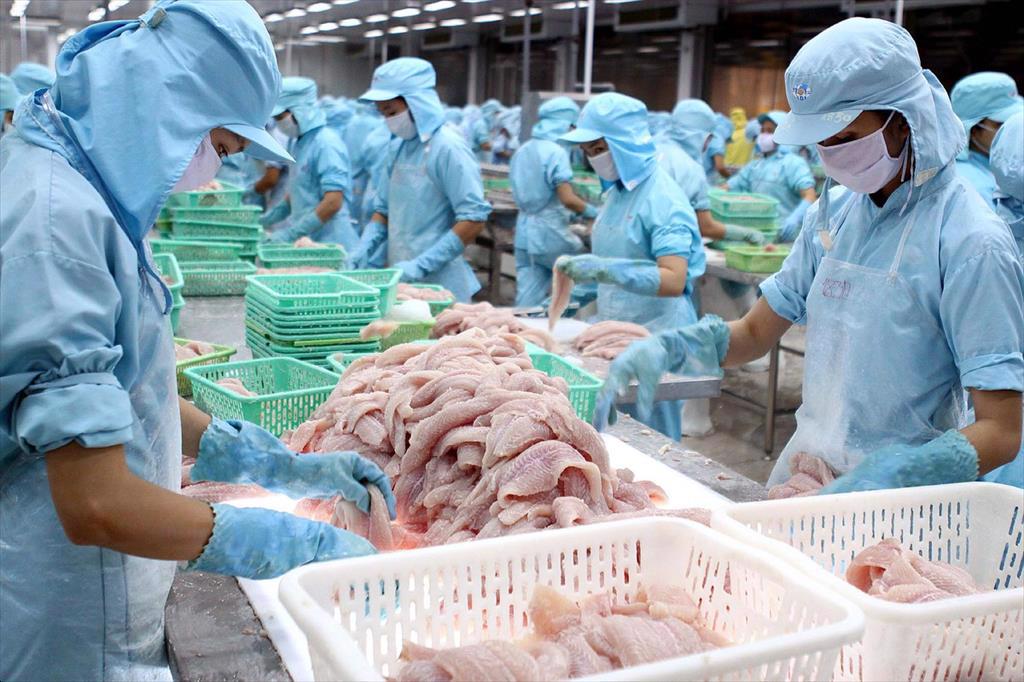 POR16 Hai doanh nghiệp cá tra được hưởng mức thuế CBPG 0