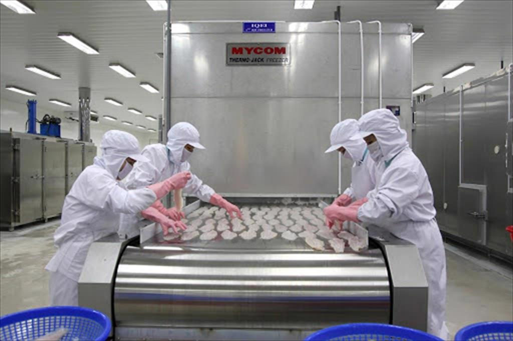 Doanh nghiệp chế biến thủy sản cần gì nhất lúc này