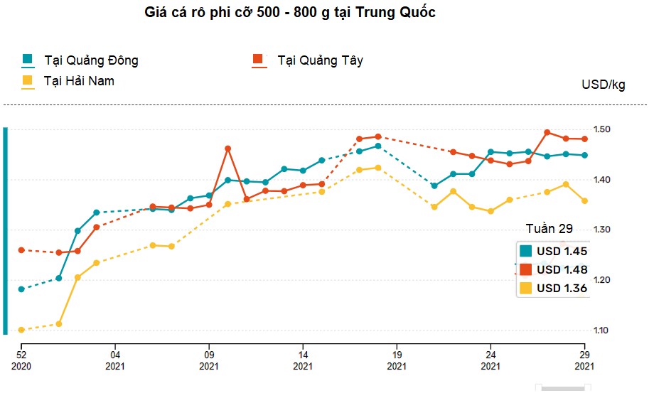 Giá cá rô phi của Trung Quốc tăng mạnh vì nguồn cung sụt giảm