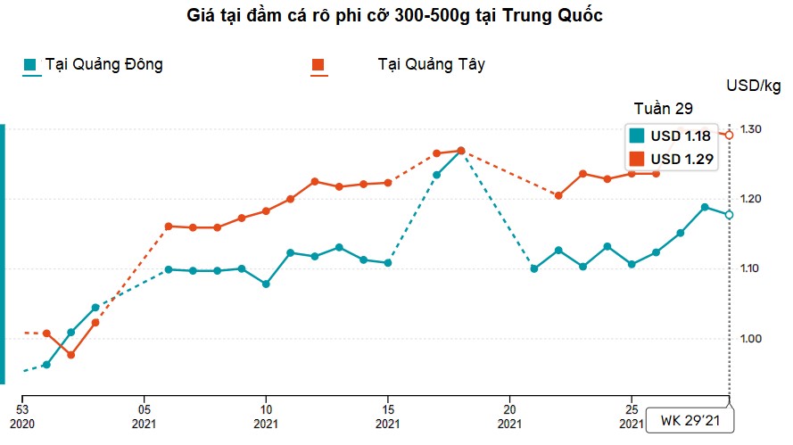 Giá cá rô phi của Trung Quốc tăng mạnh vì nguồn cung sụt giảm