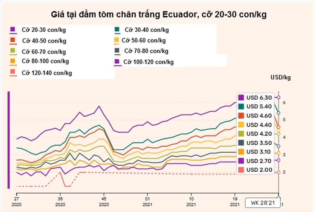 Ecuador Giá tôm giảm lần đầu tiên trong năm nay