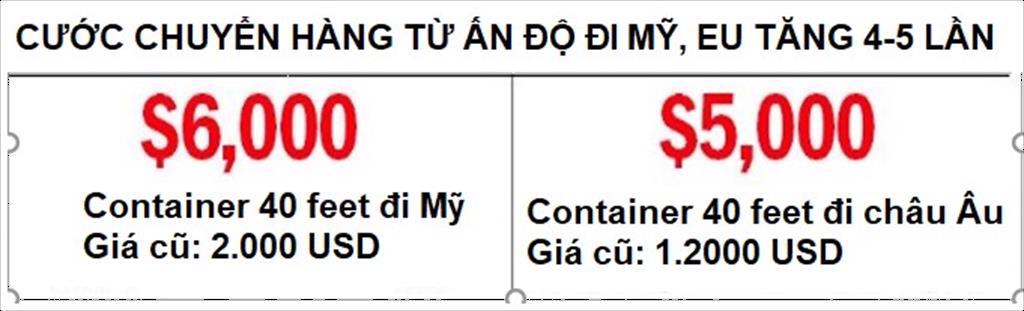 Các nhà xuất khẩu Ấn Độ cầu cứu chính phủ trước khủng hoảng container toàn cầu