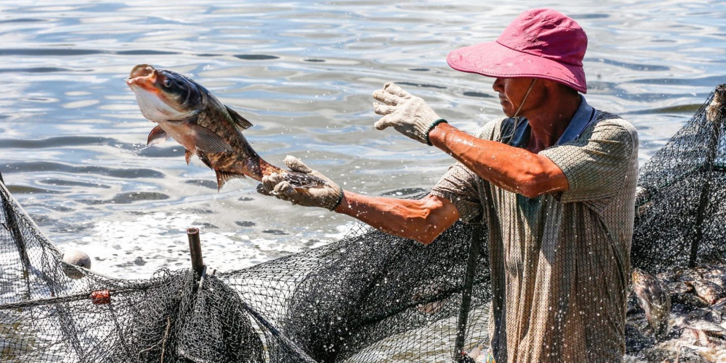 Trung Quốc siết chặt tiêu chuẩn môi trường làm giảm sản lượng nuôi trồng thủy sản