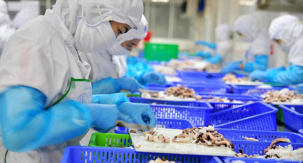Nguy cơ gãy đổ chuỗi sản xuất xuất khẩu thủy sản ngay trước mắt