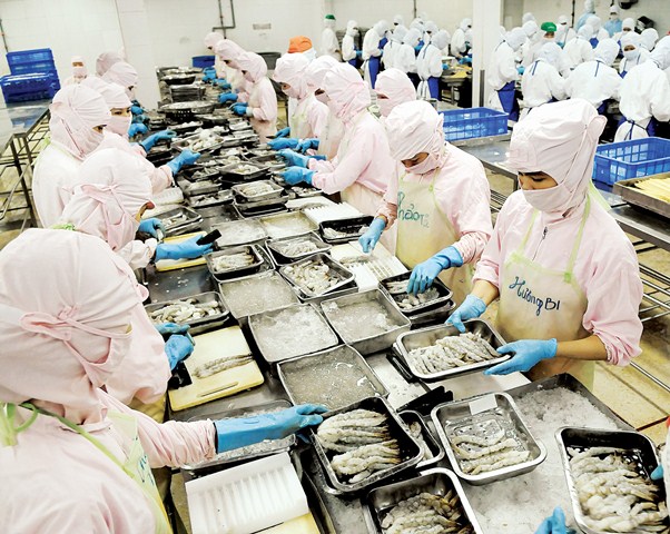 Xuất khẩu hải sản 8 tháng đầu năm 2021 đạt 21 tỷ USD