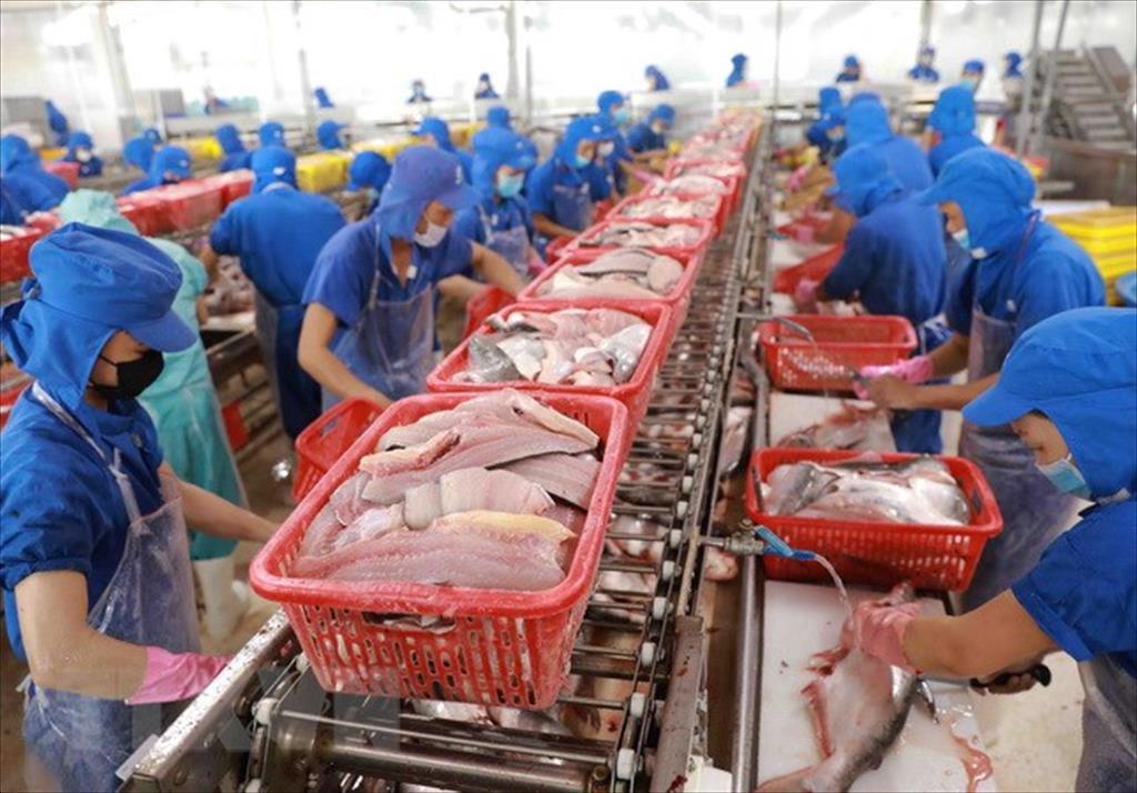 Xuất khẩu thủy sản sang Mỹ hồi phục mạnh
