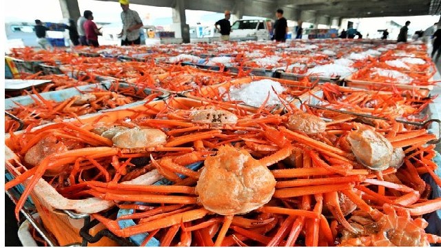 Nga tăng 4 hạn ngạch khai thác cua trong năm 2022