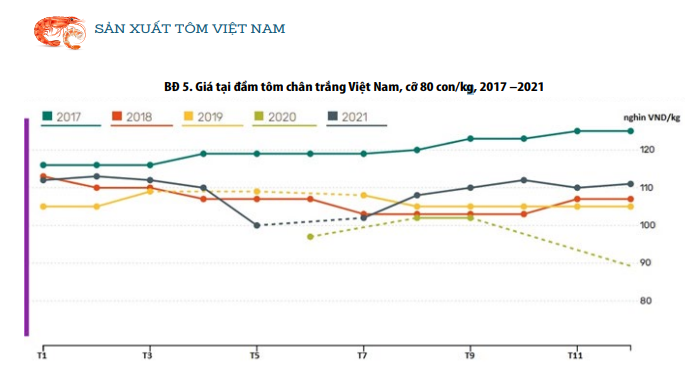 BÁO CÁO NGÀNH HÀNG TÔM 20162021 DỰ BÁO TỚI NĂM 2025