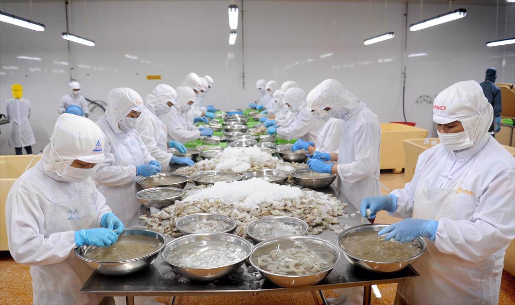 Cà Mau Chế biến tôm là một trong những điểm sáng của ngành công nghiệp