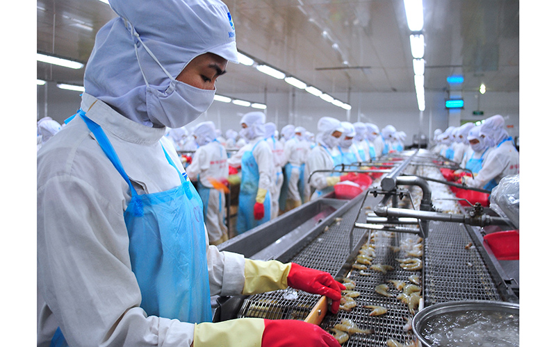 Bài học lớn của doanh nghiệp tôm Sóc Trăng năm 2021 Bình tĩnh chủ động dám nghĩ dám làm