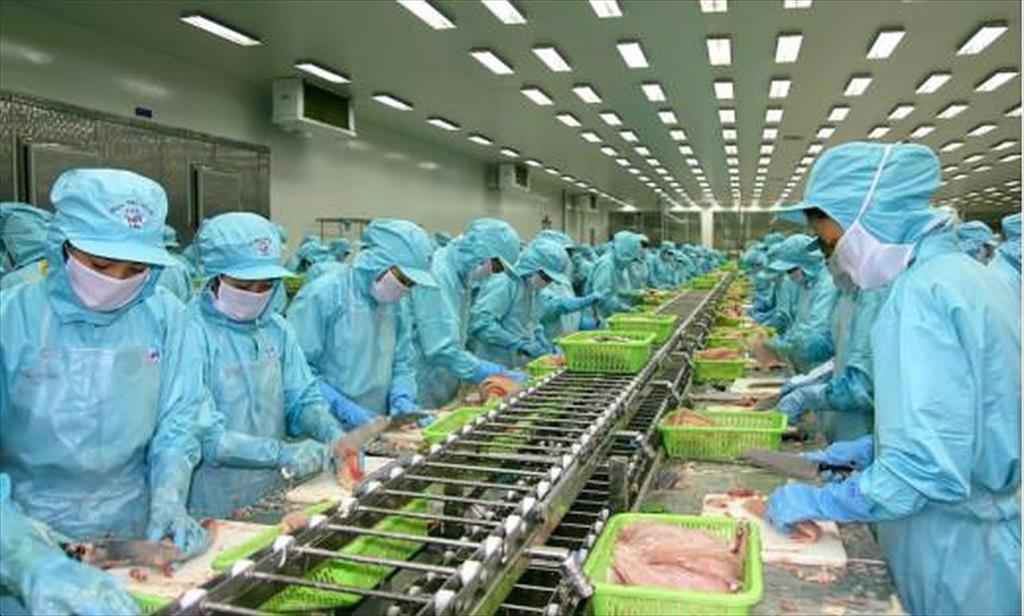 IDI ước lãi 80 tỷ đồng lợi nhuận sau thuế trong quý 42021