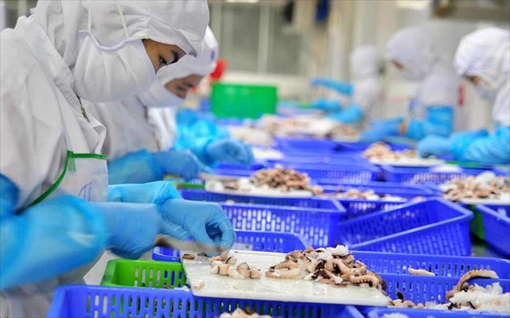 Đà Nẵng Doanh nghiệp gặp khó khăn vì công nhân bị COVID19 tăng cao