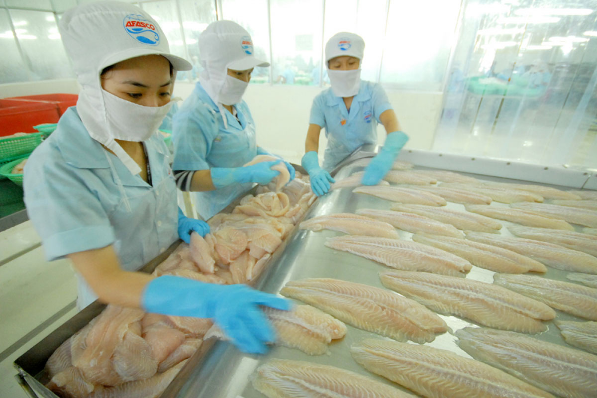 Xuất khẩu cá tra sang Canada tăng 69