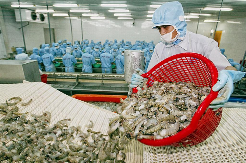 Trung Quốc có thể tiếp tục nhập siêu tôm trong vài năm tới