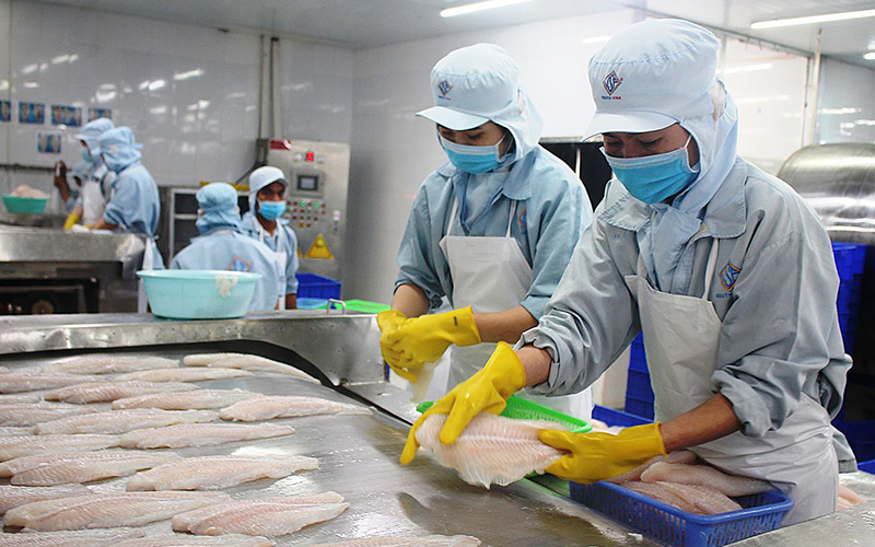 Xuất khẩu cá tra dự báo đạt 26 tỷ USD trong năm 2022