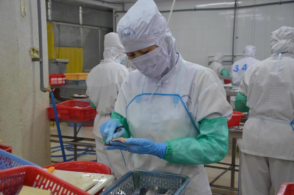 BASEAFOOD Giá đầu vào của hàng hóa đã tăng 40 50