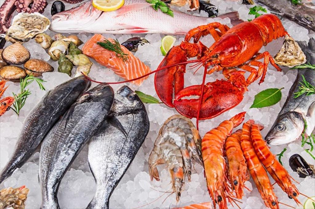 EU Trung Quốc Hoa Kỳ thúc đẩy tăng trưởng nhu cầu thủy sản toàn cầu
