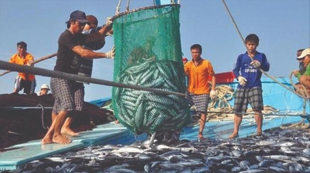 Xuất khẩu thủy sản của Na Uy đạt kỉ lục trong nửa đầu năm nay