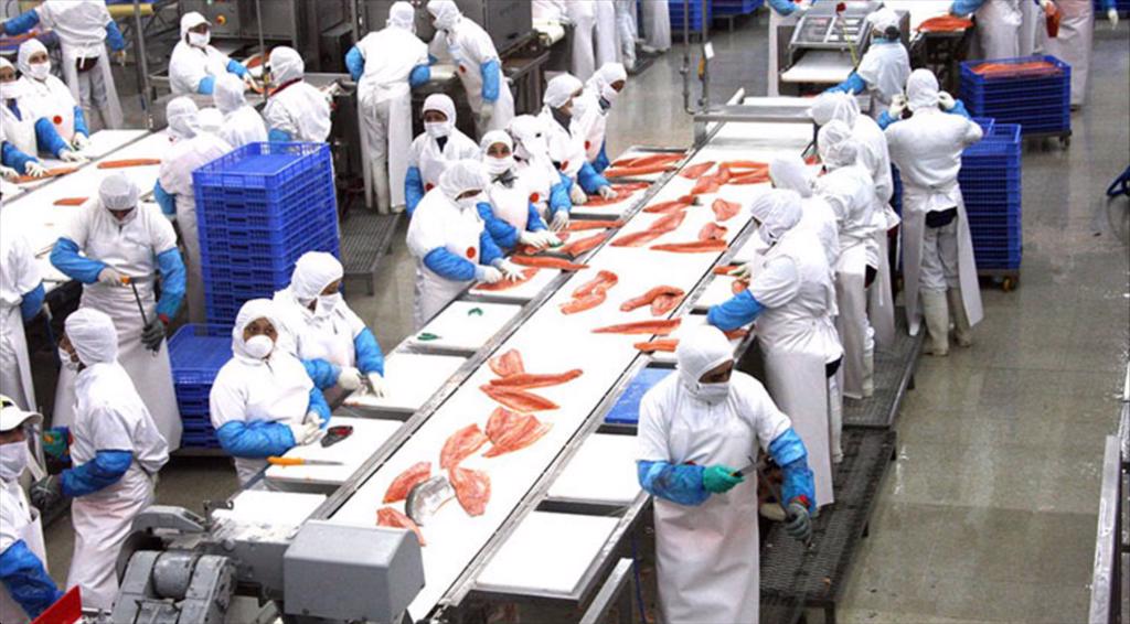 Xuất khẩu thủy sản của Chile nửa đầu năm tăng hơn 25
