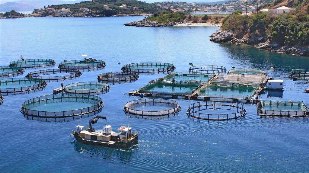 Tây Ban Nha Sản lượng nuôi trồng thủy sản hữu cơ năm 2021 giảm 35