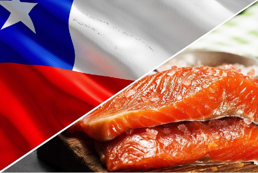 Chile tăng xuất khẩu cá hồi
