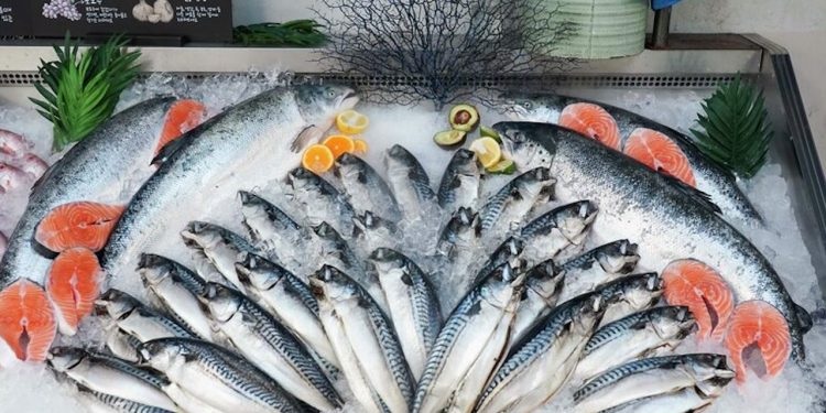 Xuất khẩu thủy sản của Na Uy tăng trưởng kỷ lục trong tháng 10